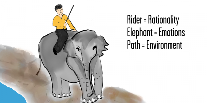 Rider, Elephant, Path - Leveraged Learning